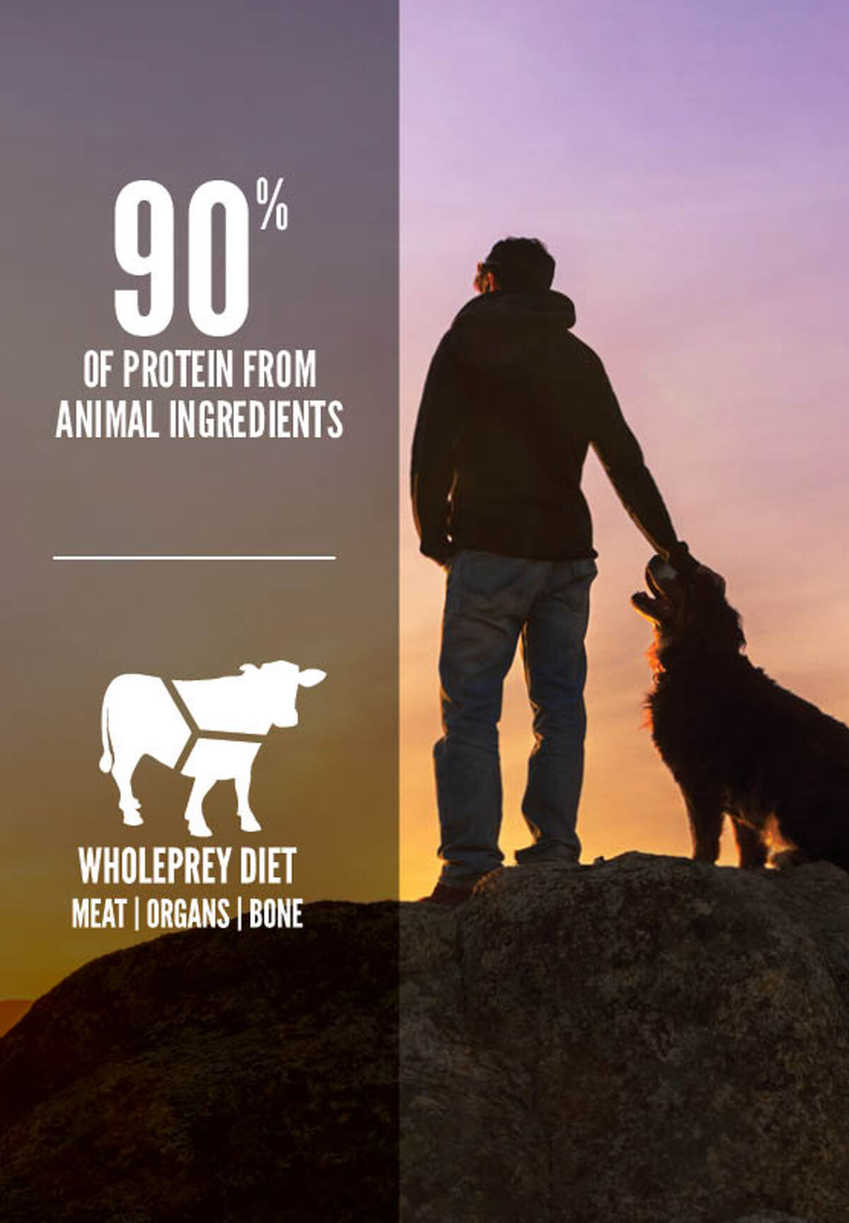 Regional Red High Protein Dog Biscuits ORIJEN USA